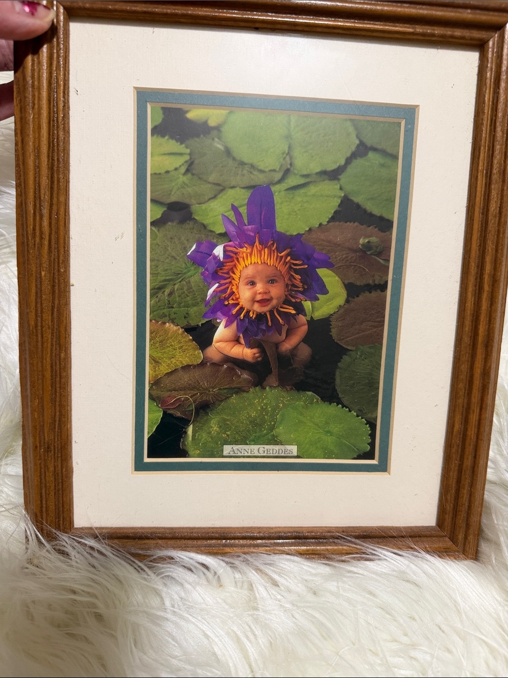 Anne Geddes Framed Floral Baby Art Print - Purple & Green